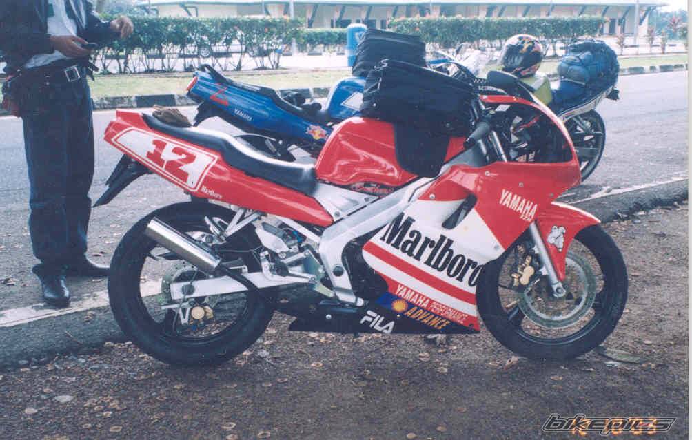 2002 YAMAHA TZM 150 | Picture 297021 motorcycle photo