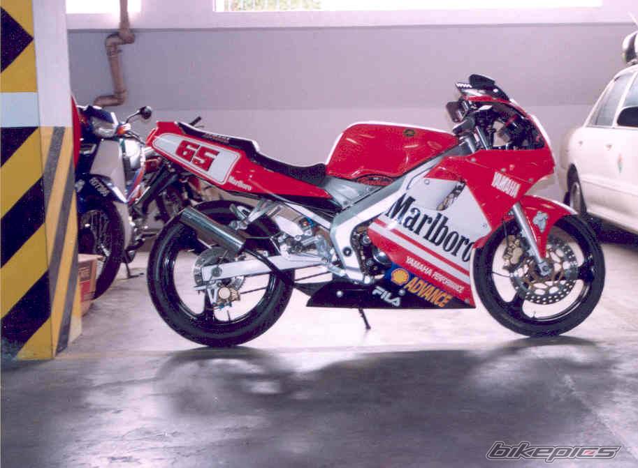 2002 YAMAHA TZM 150 | Picture 297022 motorcycle photo