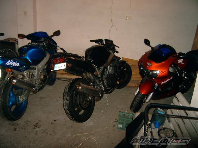 1998 HONDA CBR 900 | Picture 297166 motorcycle photo