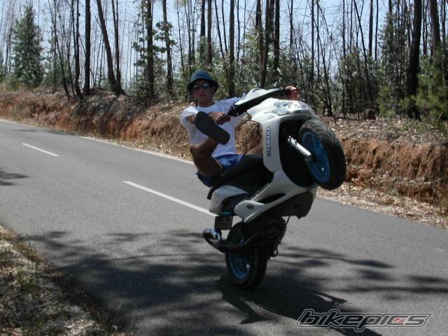 2005 YAMAHA JOG | Picture 297187 motorcycle photo
