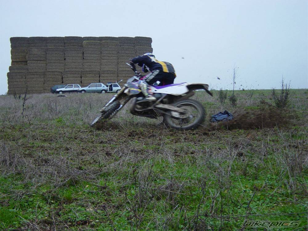 1996 YAMAHA YZ 250 | Picture 297284 motorcycle photo