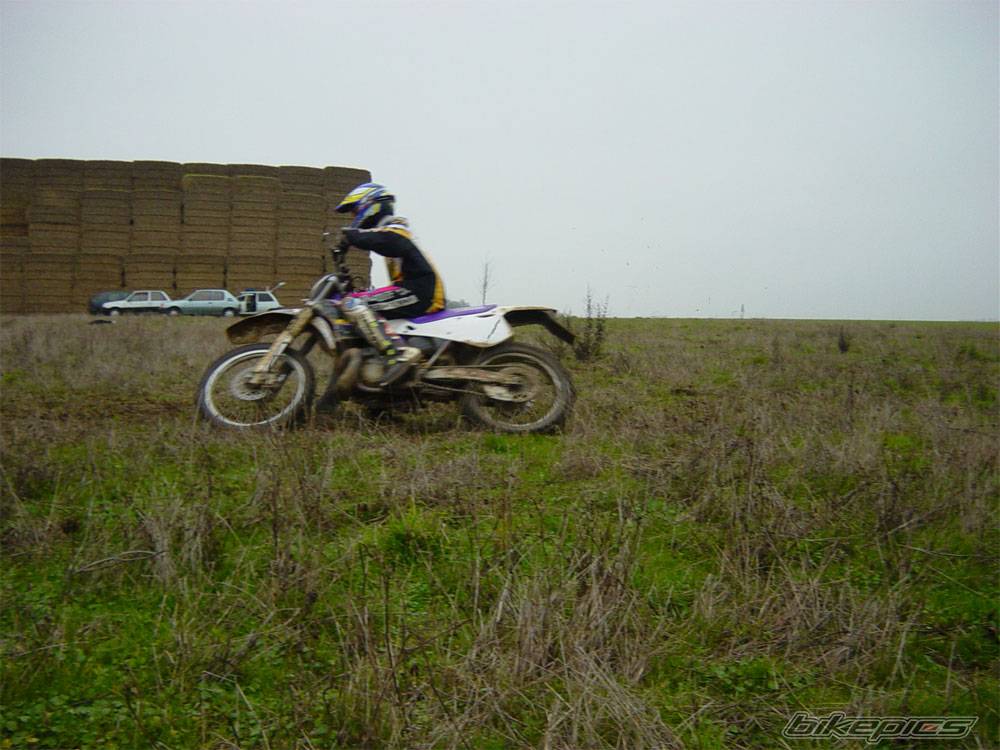 1996 YAMAHA YZ 250 | Picture 297285 motorcycle photo