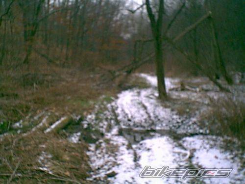 2002 POLARIS TRAIL BLAZER 250 | Picture 297537 motorcycle photo