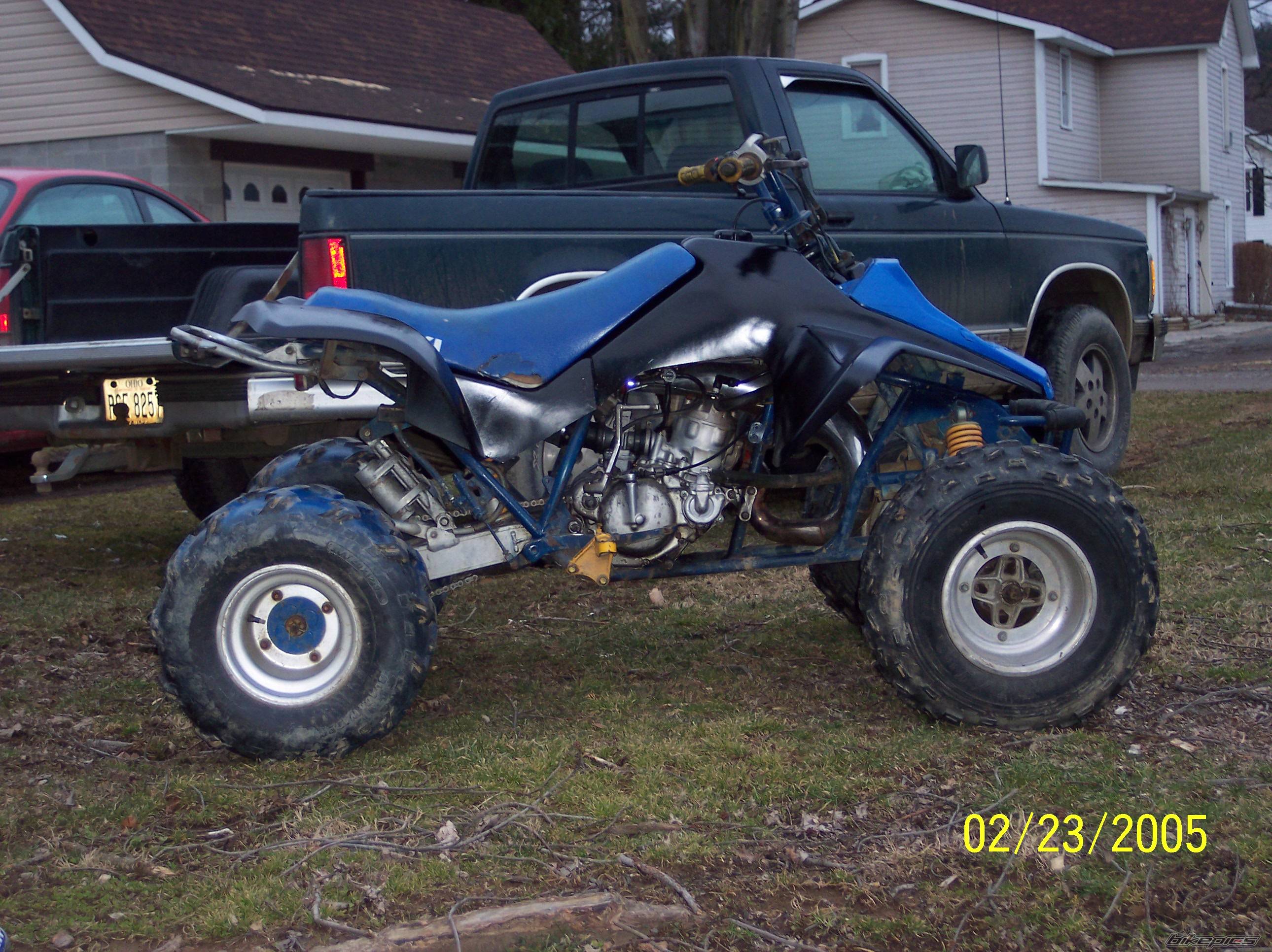 1986 SUZUKI QUADRACER 250 | Picture 297562 motorcycle photo