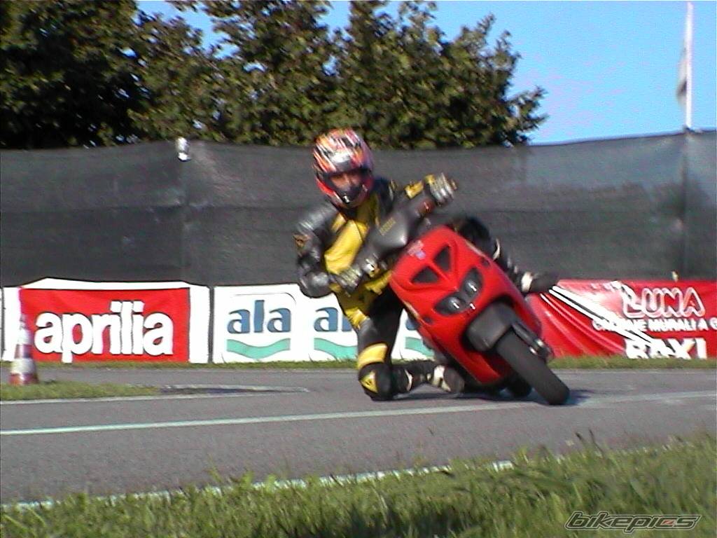 1997 PIAGGIO ZIP SP | Picture 297699 motorcycle photo
