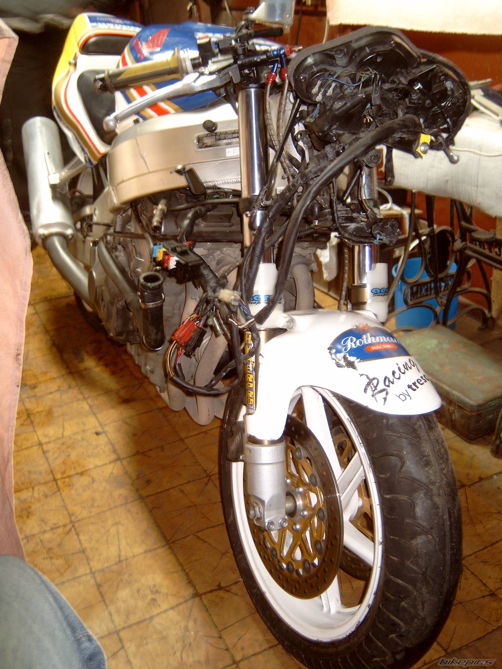 1995 HONDA CBR 900 | Picture 297776 motorcycle photo