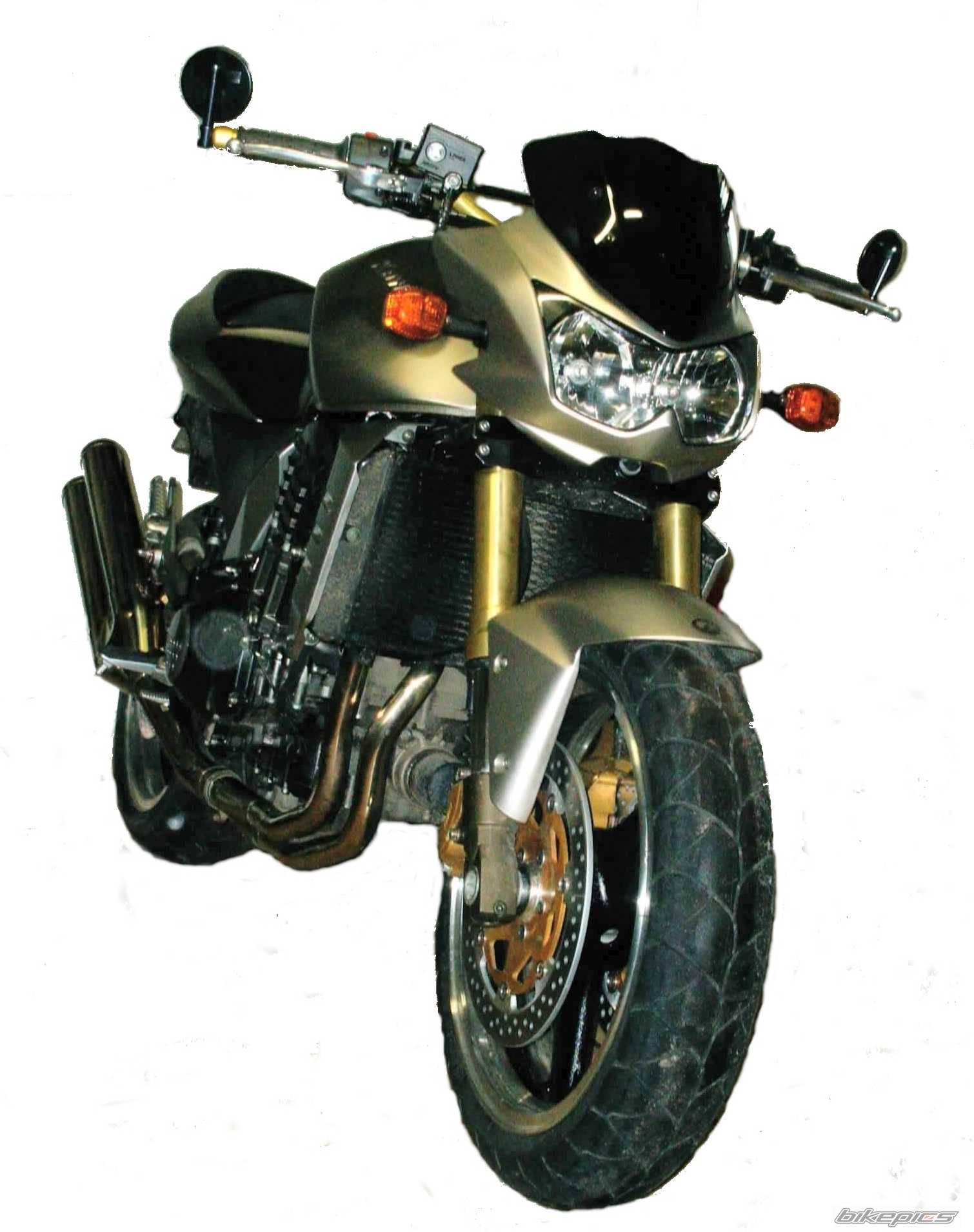2005 KAWASAKI Z 1000 | Picture 297806 motorcycle photo