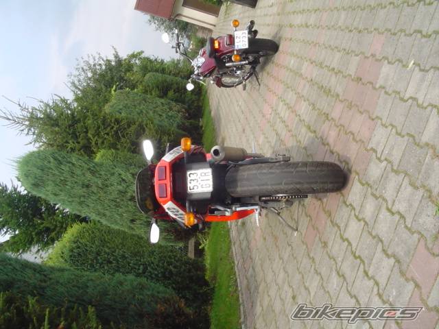 2000 CAGIVA MITO 125 | Picture 297830 motorcycle photo