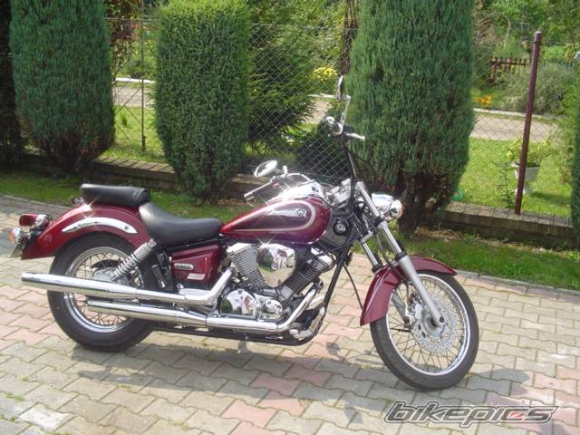 2001 YAMAHA XVS 125 DRAGSTAR | Picture 297846 motorcycle photo