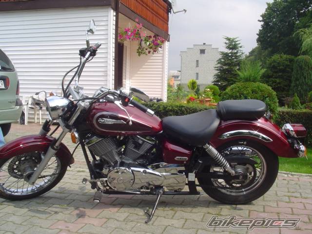 2001 YAMAHA XVS 125 DRAGSTAR | Picture 297869 motorcycle photo