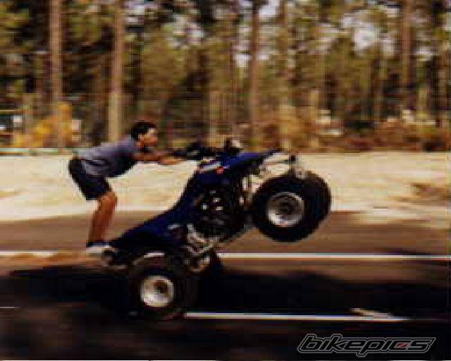 2001 YAMAHA WARRIOR | Picture 297983 motorcycle photo