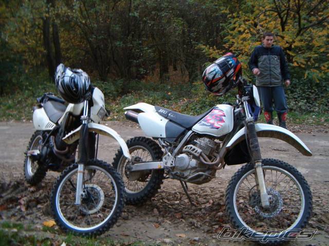 1989 YAMAHA TTR 350 | Picture 298190 motorcycle photo