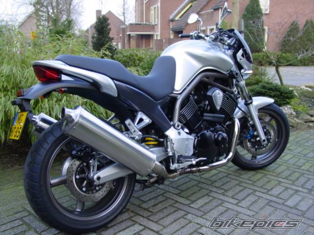 2002 YAMAHA BULLDOG | Picture 298355 motorcycle photo