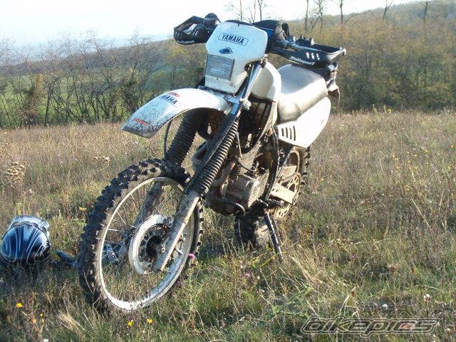 1989 YAMAHA TTR 350 | Picture 298440 motorcycle photo