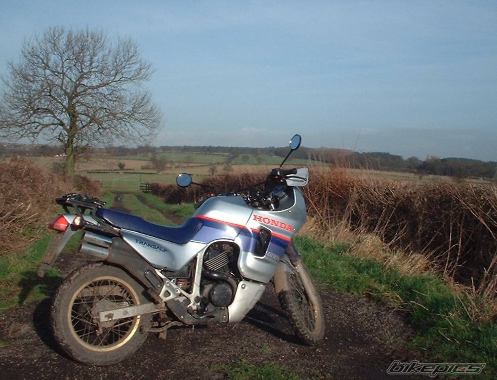 1987 HONDA XL 600V TRANSALP | Picture 298672 motorcycle photo