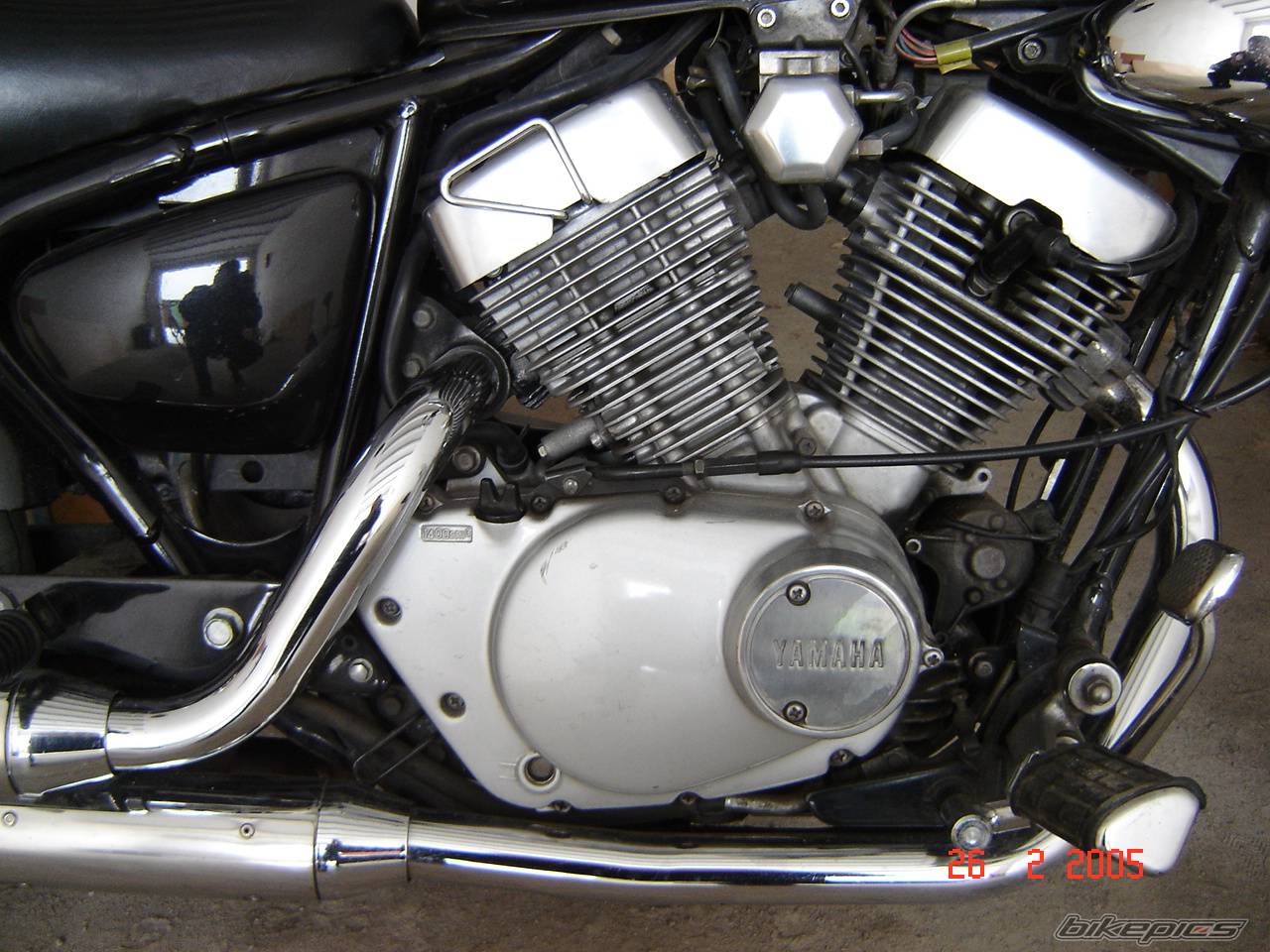 1998 YAMAHA VIRAGO 250 | Picture 298818 motorcycle photo