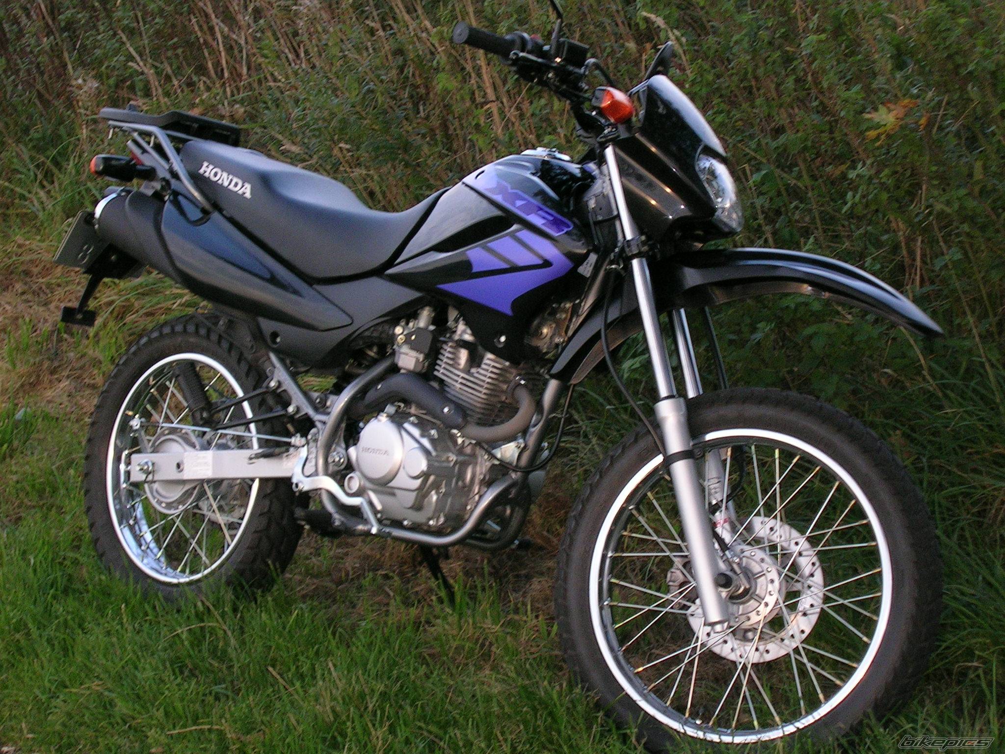 2004 HONDA XR 125 | Picture 298973 motorcycle photo