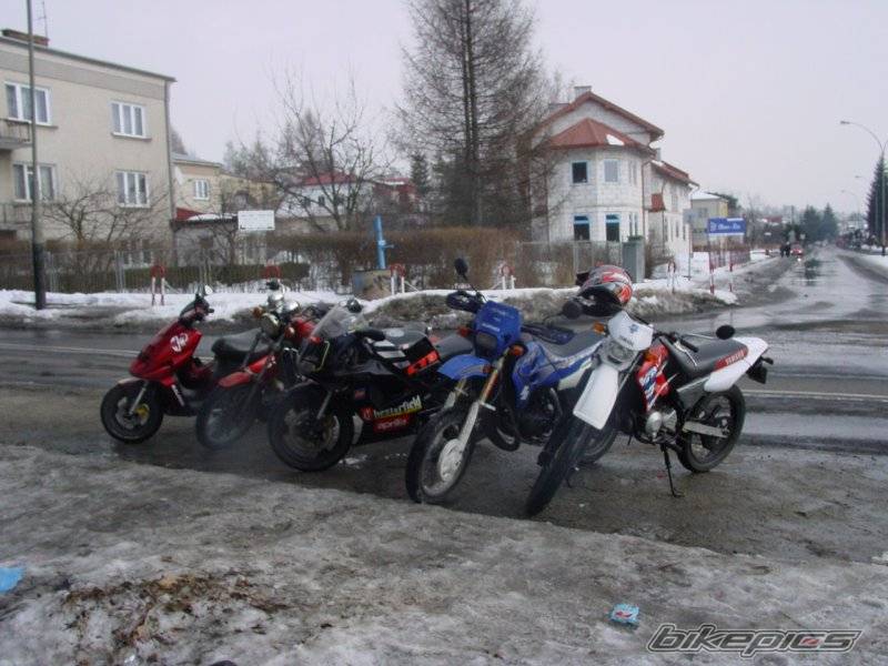 2002 SUZUKI SMX 50 | Picture 299131 motorcycle photo