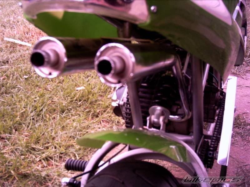 2005 CATEYE 49CC MIDI BIKE | Picture 299264 motorcycle photo
