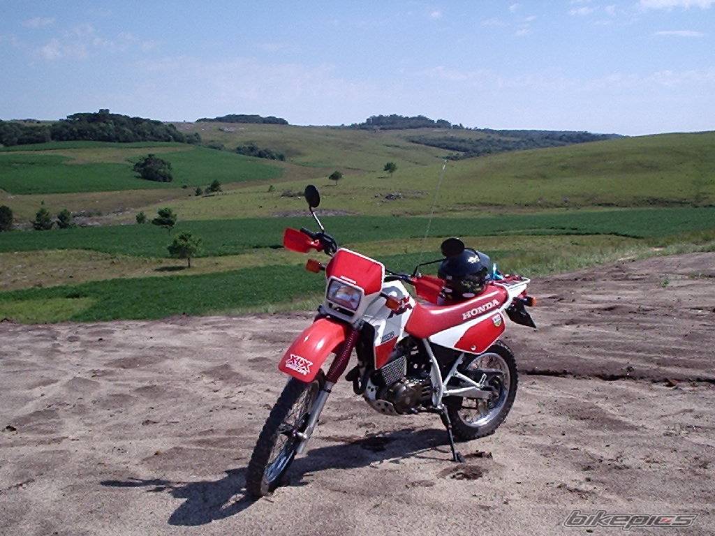 1989 HONDA XL 350 | Picture 299291 motorcycle photo