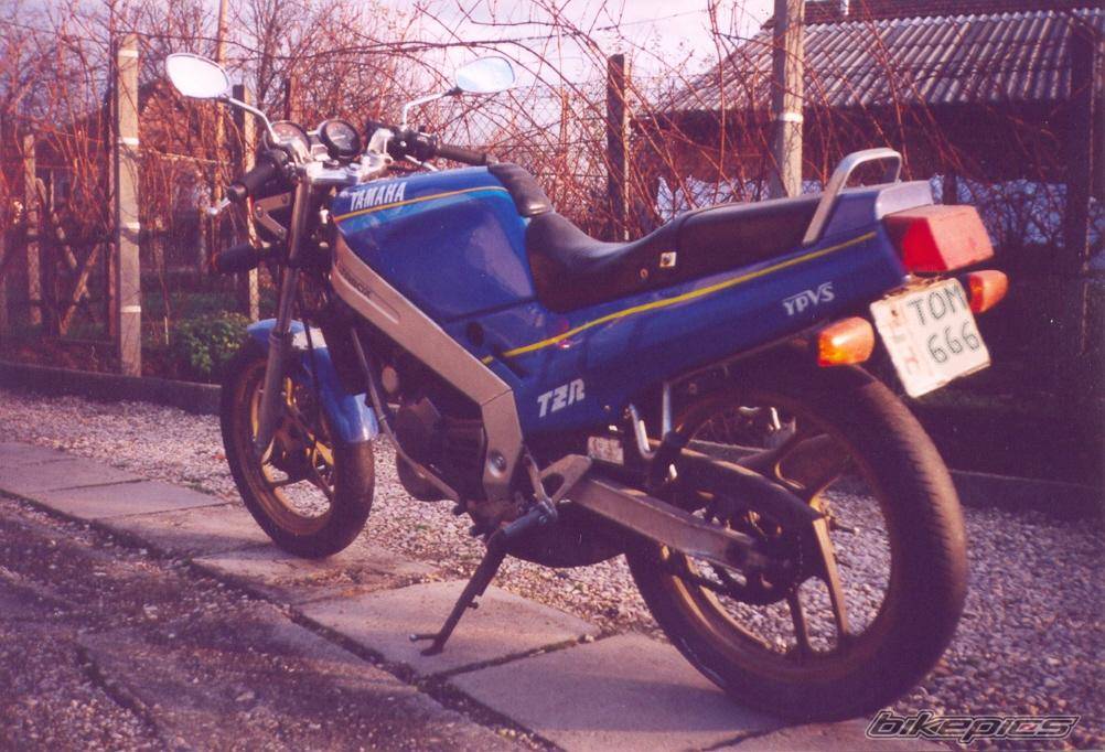 1987 YAMAHA TZR 125 | Picture 299471 motorcycle photo