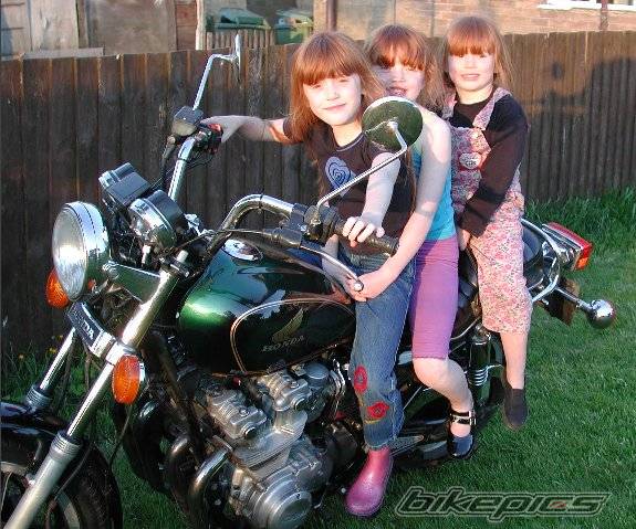 1981 HONDA CB 750 | Picture 2995 motorcycle photo