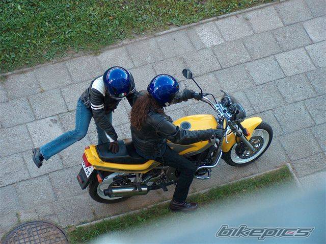 1991 SUZUKI GS 500 | Picture 299585 motorcycle photo