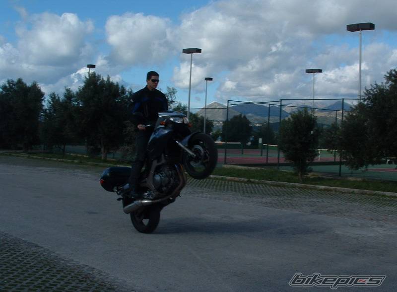 2003 YAMAHA TDM 900 | Picture 299966 motorcycle photo