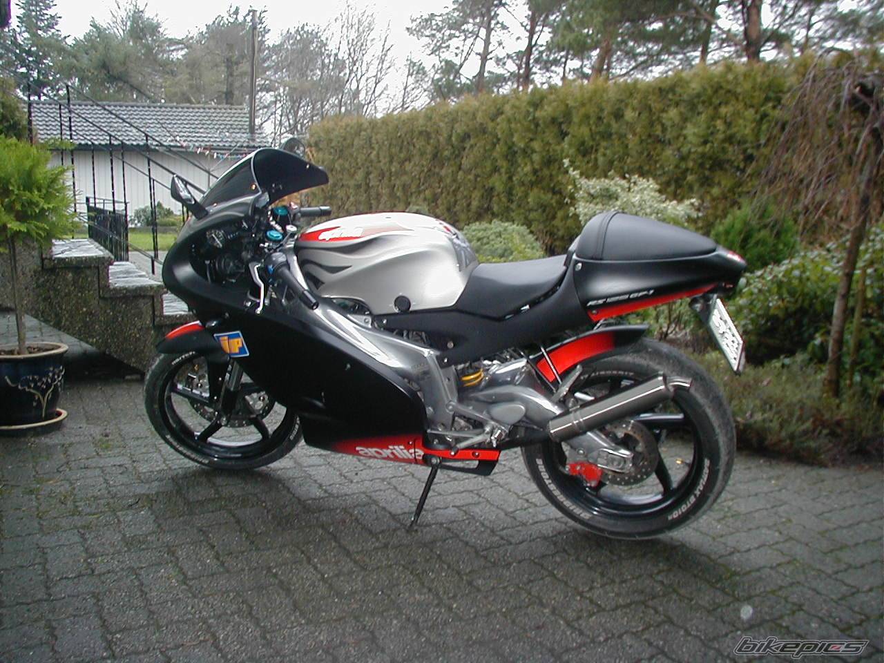 2003 APRILIA RS 125 | Picture 300410 motorcycle photo