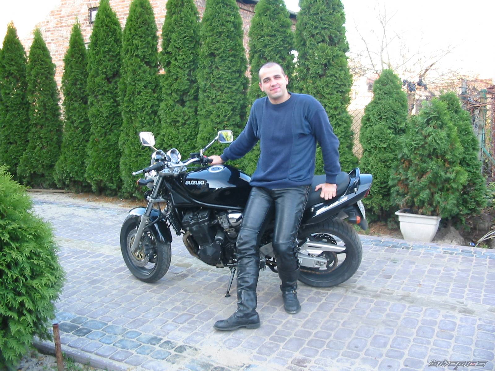 2001 SUZUKI BANDIT 1200 | Picture 300687 motorcycle photo