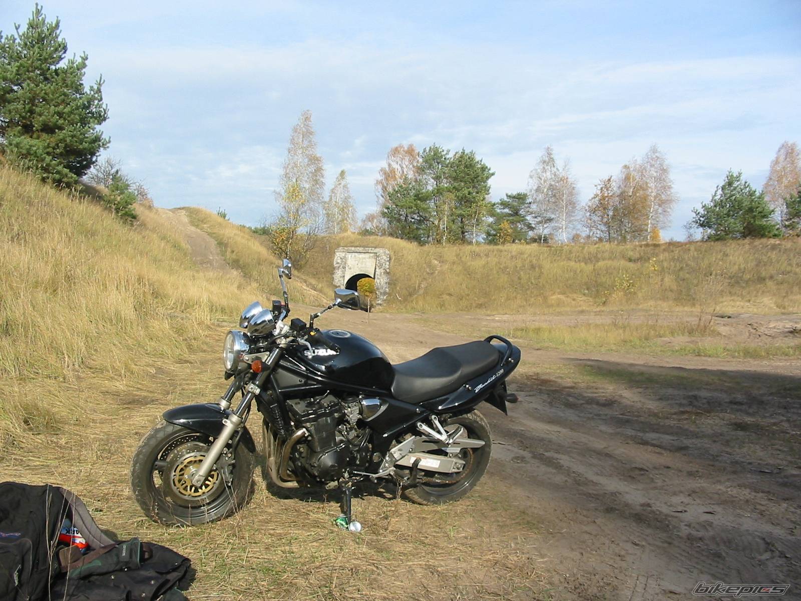 2001 SUZUKI BANDIT 1200 | Picture 300702 motorcycle photo