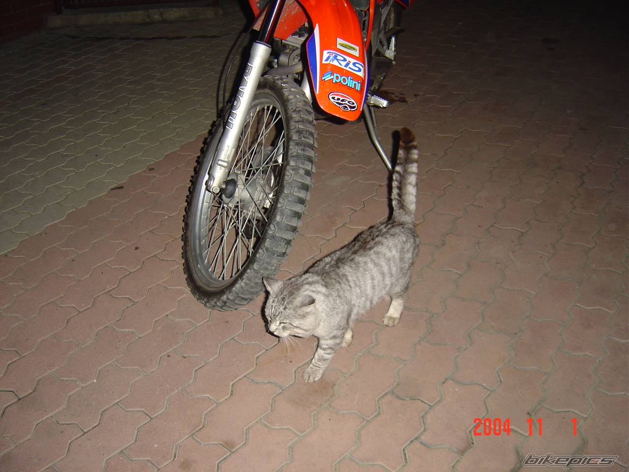2002 DERBI SENDA R 50 | Picture 301554 motorcycle photo