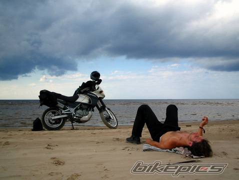 2002 KAWASAKI KLE 500 | Picture 301715 motorcycle photo