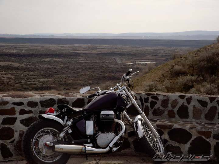 2004 SUZUKI SAVAGE | Picture 302063 motorcycle photo