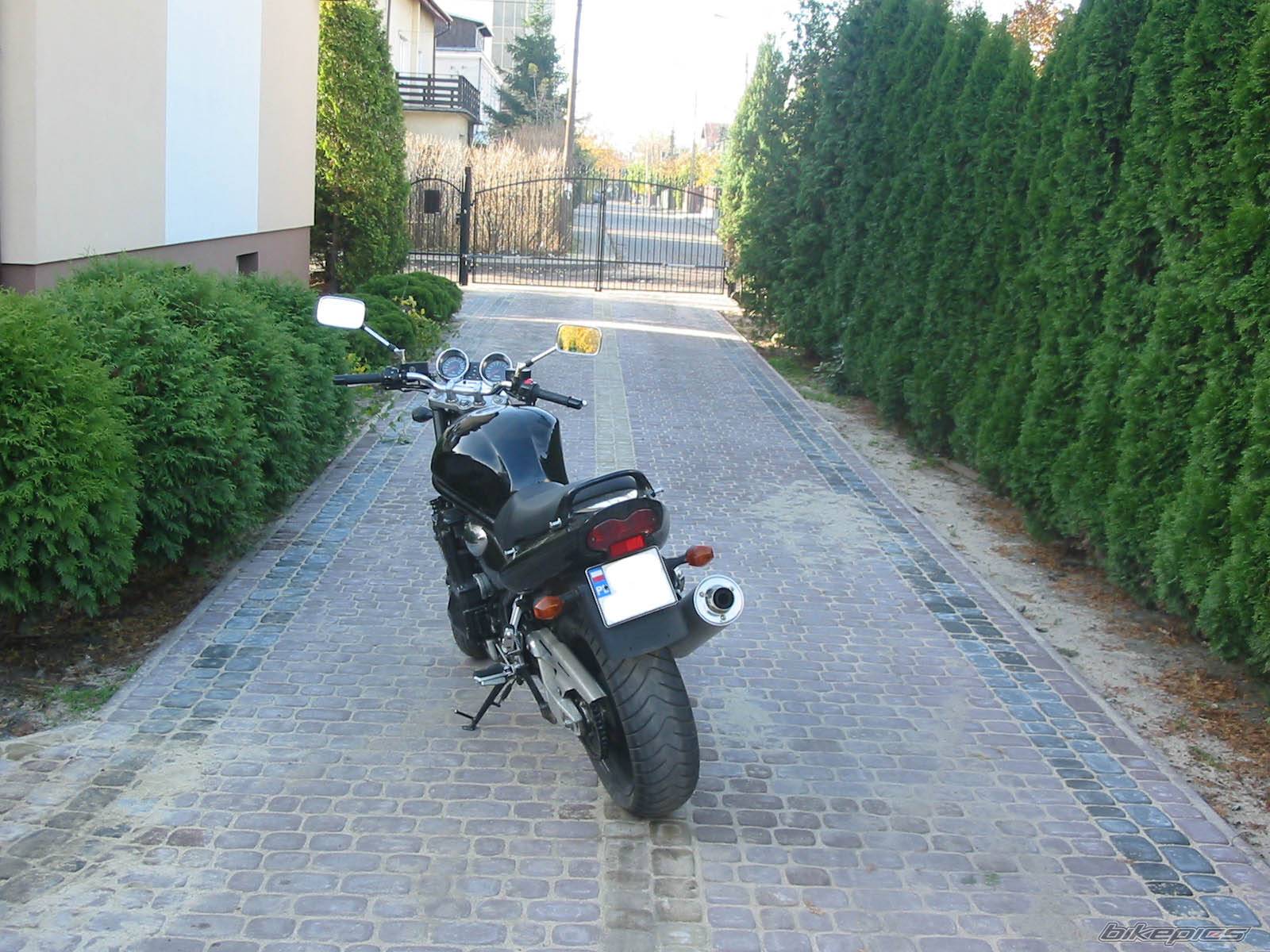 2001 SUZUKI BANDIT 1200 | Picture 302621 motorcycle photo