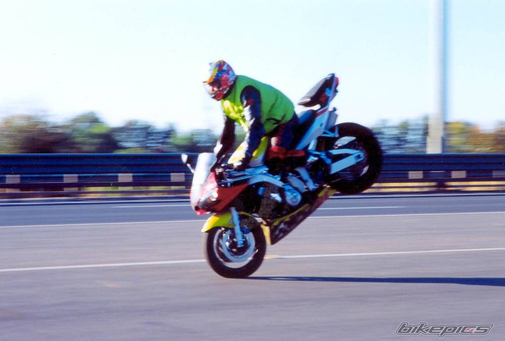 2001 YAMAHA YZF R1 | Picture 302664 motorcycle photo