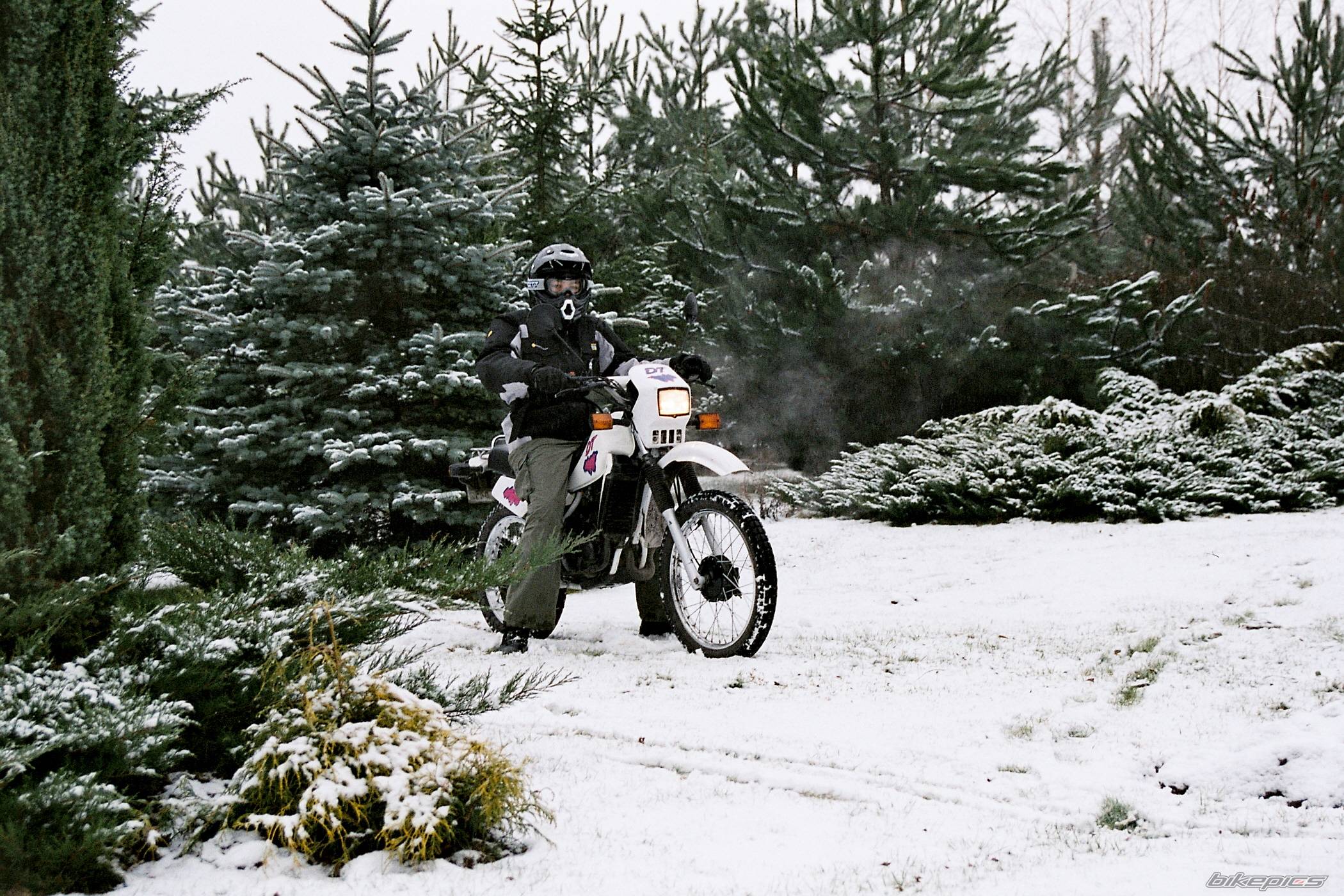 1995 YAMAHA DT 50 | Picture 302706 motorcycle photo
