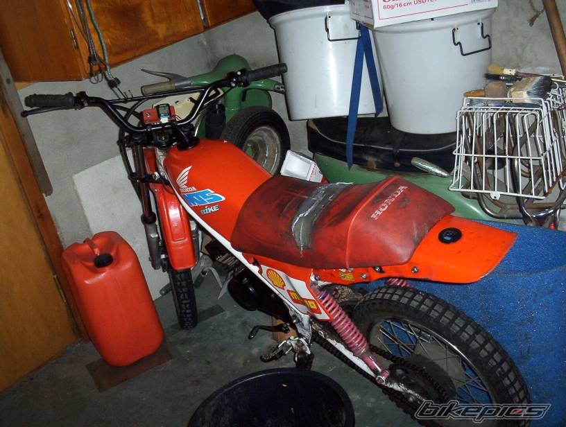 1994 HONDA MT 50 | Picture 302985 motorcycle photo