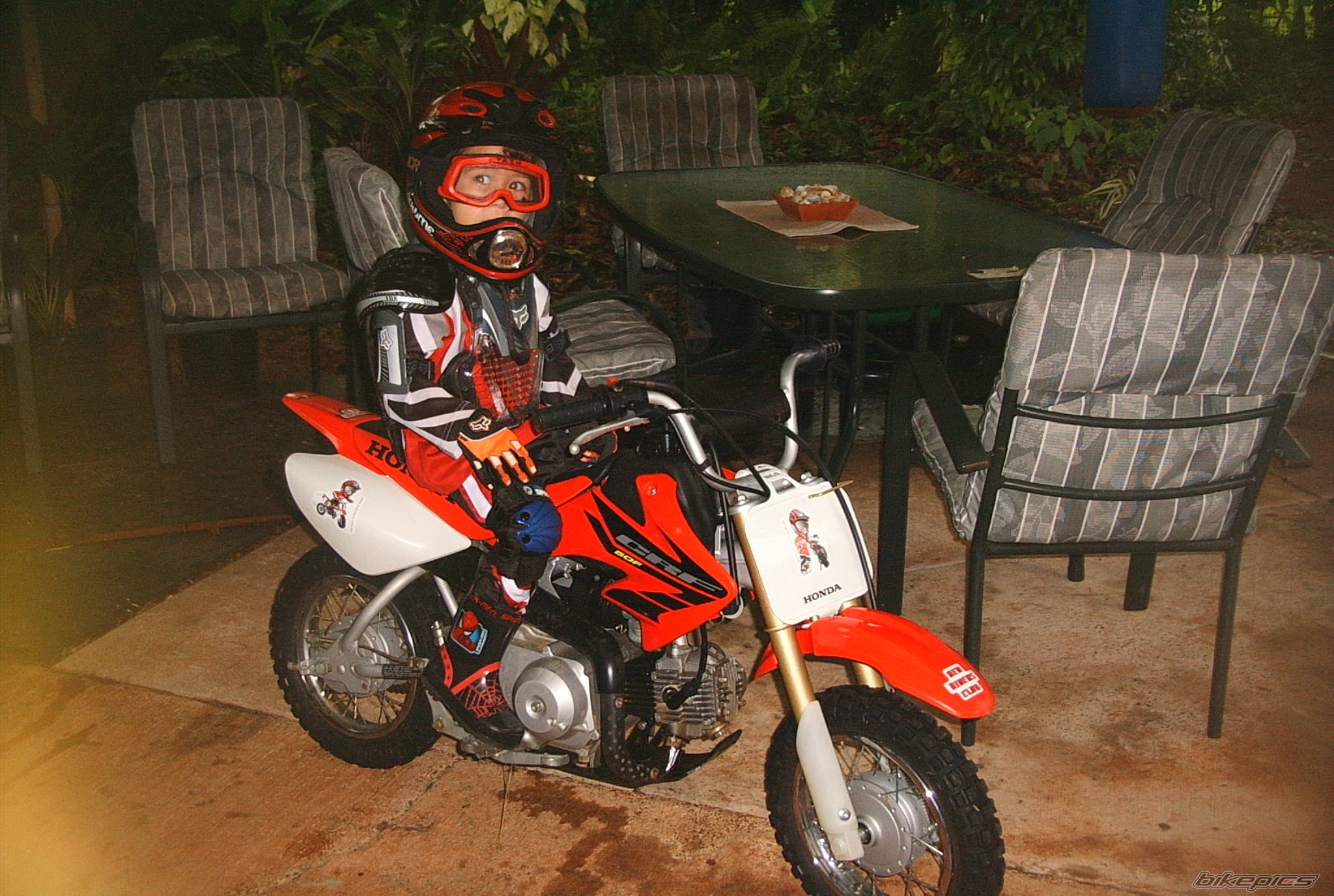 2004 HONDA CRF 50 | Picture 302986 motorcycle photo