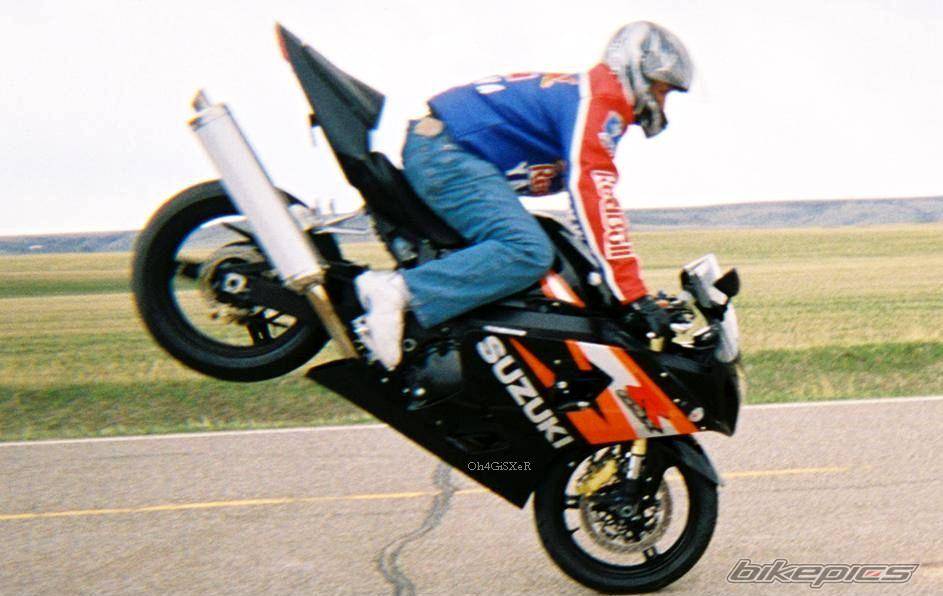 2004 SUZUKI GSX R 600 | Picture 303141 motorcycle photo