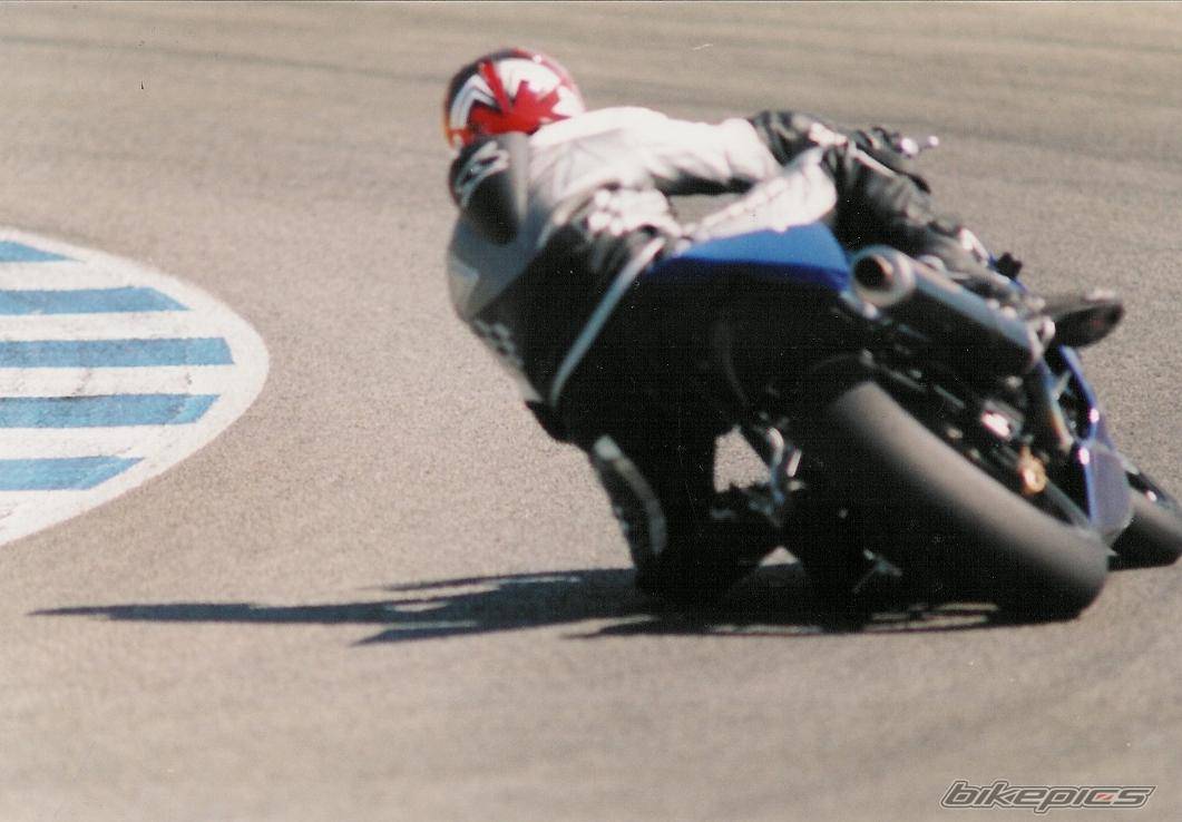 2005 SUZUKI GSX R 1000 | Picture 303224 motorcycle photo