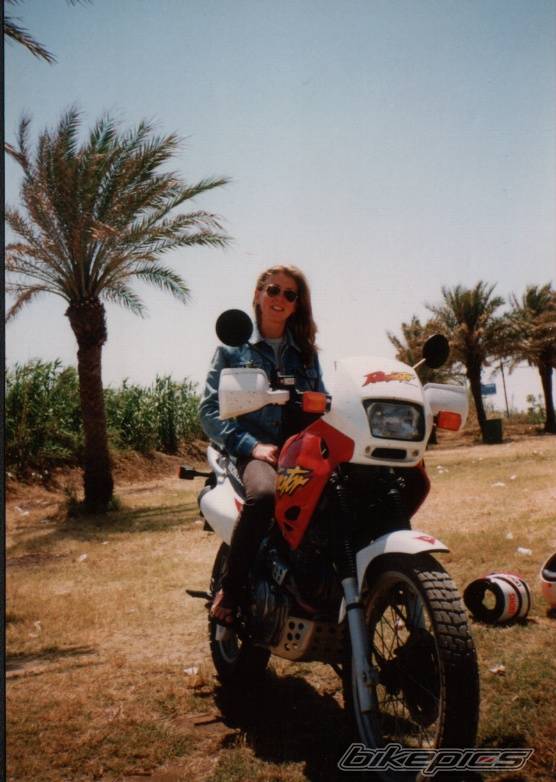1997 HONDA NX 650 DOMINATOR | Picture 30328 motorcycle photo
