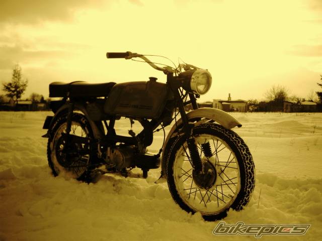 1981 JAWA MUSTANG 50 | Picture 304003 motorcycle photo