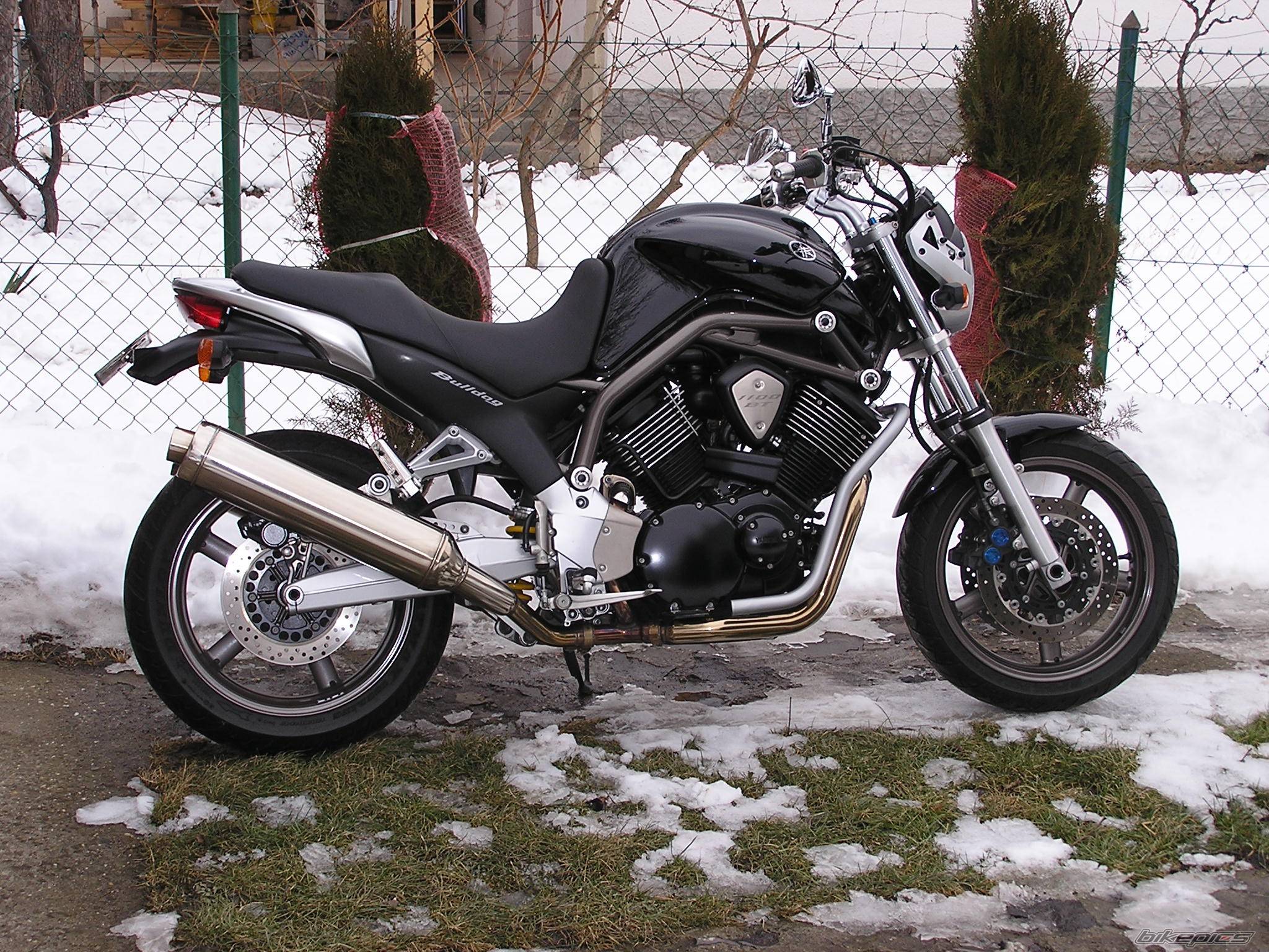 2005 YAMAHA BULLDOG | Picture 304105 motorcycle photo