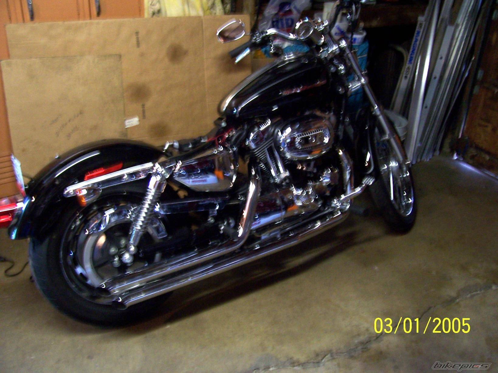 2005 HARLEY DAVIDSON XL 1200 C | Picture 304342 motorcycle photo