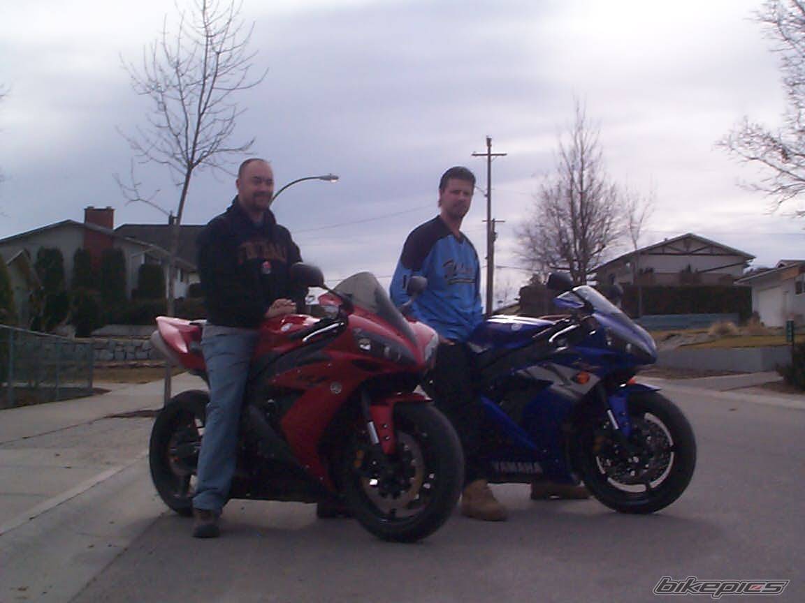 2004 YAMAHA YZF R1 | Picture 304356 motorcycle photo