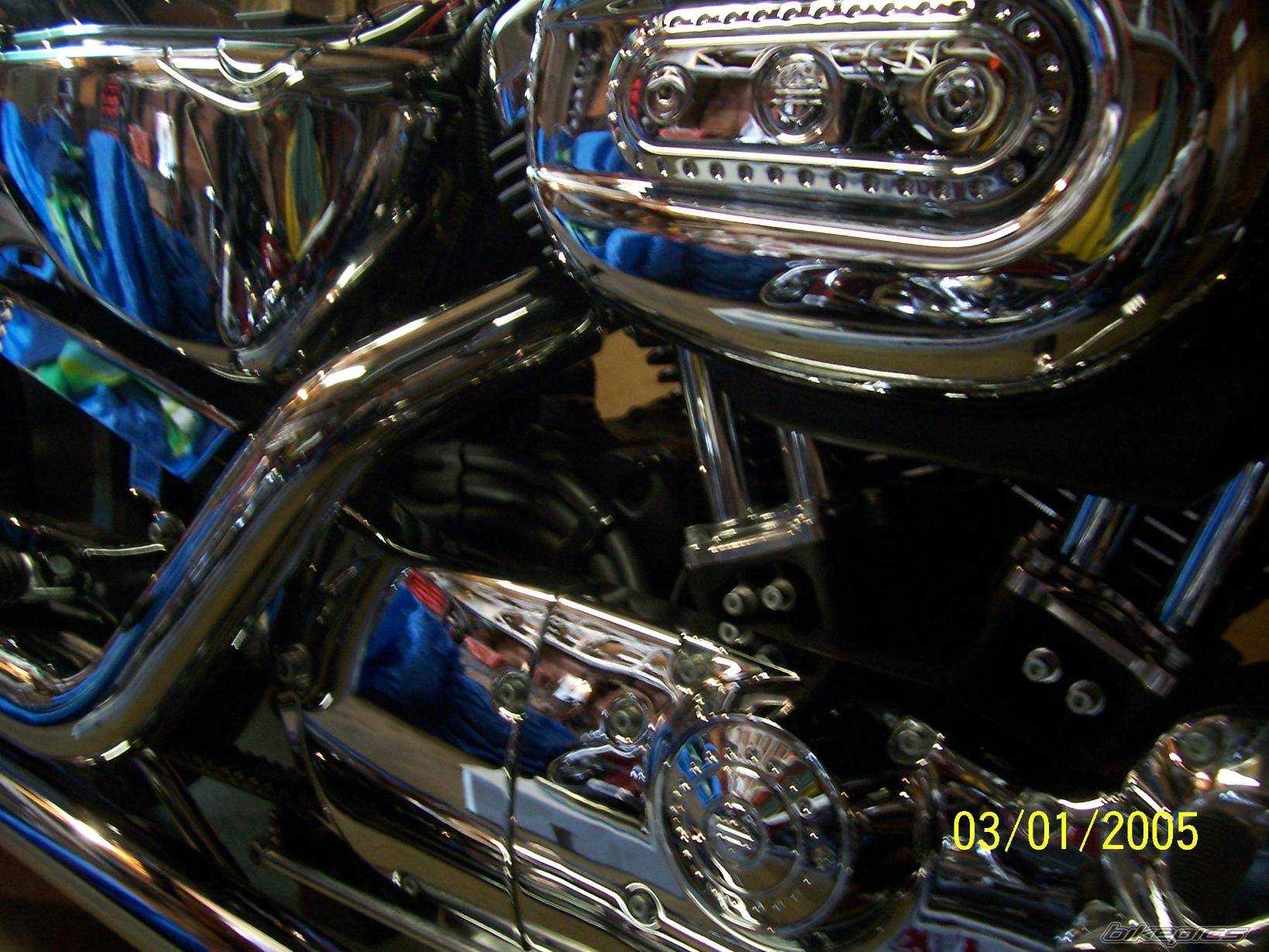 2005 HARLEY DAVIDSON XL 1200 C | Picture 304358 motorcycle photo