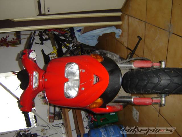 1998 GILERA STALKER 50 | Picture 304761 motorcycle photo