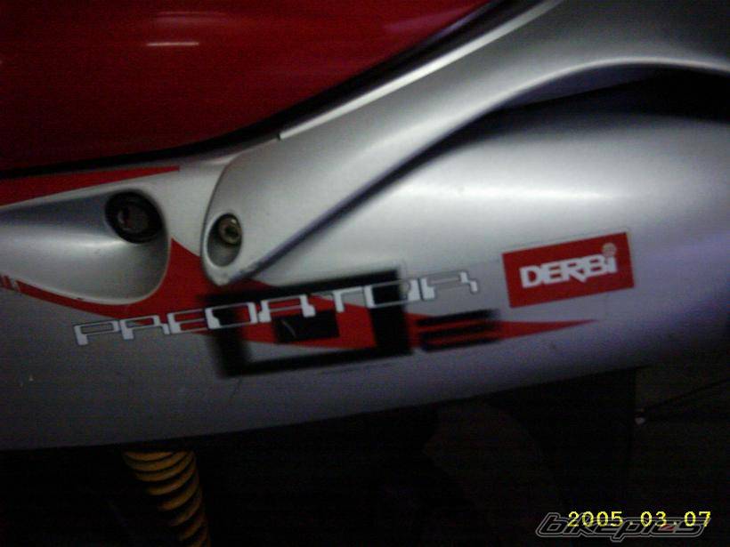 1999 DERBI PREDATOR | Picture 304896 motorcycle photo