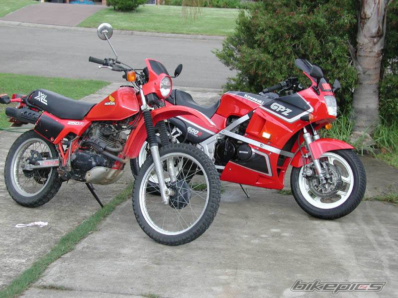 1987 KAWASAKI GPZ 500 | Picture 30492 motorcycle photo